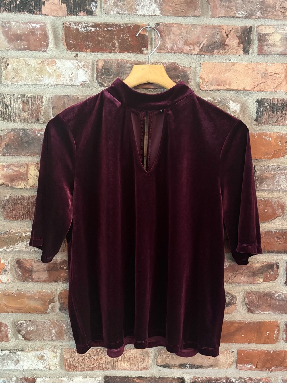 Allison Joy Evereve Burgundy Velvet Short Sleeve Blouse Top, XL